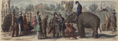 Em um jardim zoológico na Alemanha (gravura colorida) de Heinrich Leutemann