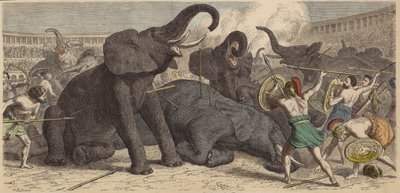 Matança de elefantes capturados em uma arena romana de Heinrich Leutemann