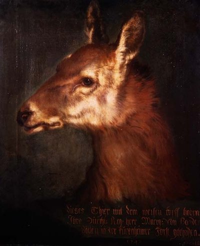 Cabeça de um Roebuck de Heinrich Lihl