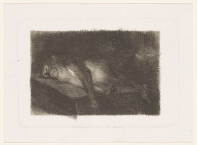 Macaco adormecido e recortado de Heinrich M. Krabbé