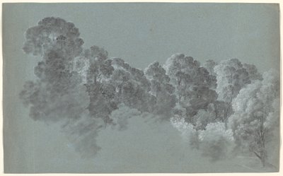 Copas das árvores da floresta atingidas pela luz de Heinrich Rieter