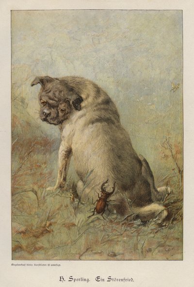 Um causador de problemas (gravação colorida) de Heinrich Sperling