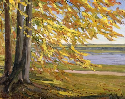 Lago Starnberg; Starnberger See, 1911 de Heinrich Wilhelm Truebner