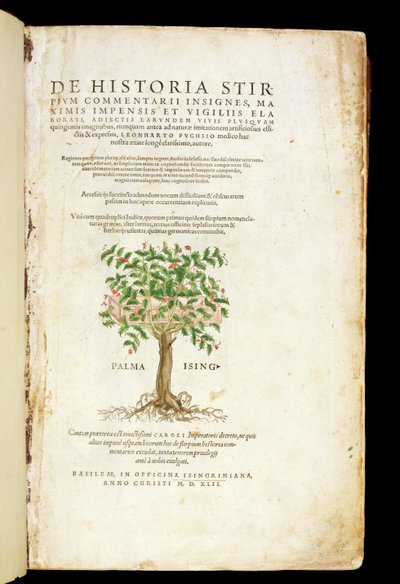 Página de título de "De Historia Stirpium Commentarii Insignes", de Leonard Fuchs (1501-66), gravada por Rodolphe Speckle (d.1550), publicada em 1542 de Heinrich and Meyer, Albert Fullmaurer