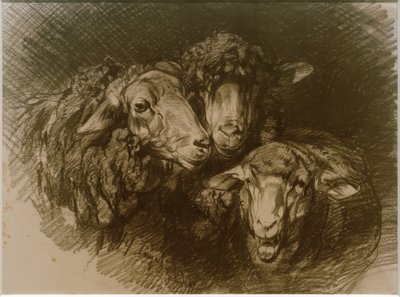 Ovelhas de Heinrich von Zügel