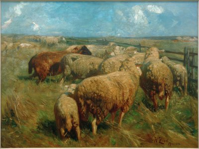 Rebanho de ovelhas no meio do verão de Heinrich von Zügel