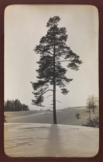 Primeira Guerra Mundial: a "Ucrânia nos anos 1914-1916 durante a invasão do exército alemão". Paisagem com neve (foto a p/b) de Heldenfriedhof Dsessentniki (attr. to)