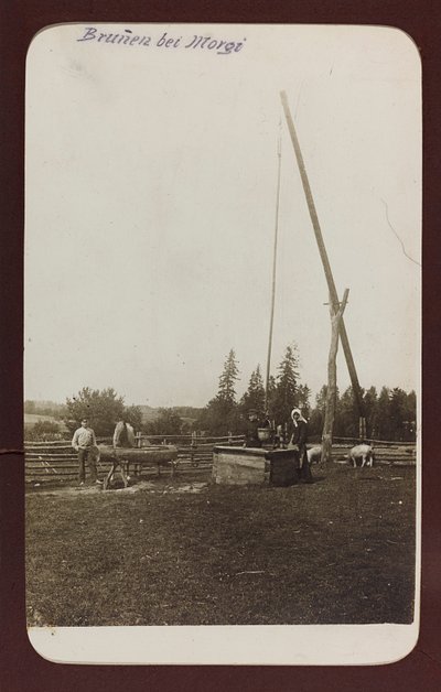 Primeira Guerra Mundial: a "Ucrânia nos anos 1914-1916 durante a invasão do exército alemão". Um poço (foto a p/b) de Heldenfriedhof Dsessentniki (attr. to)