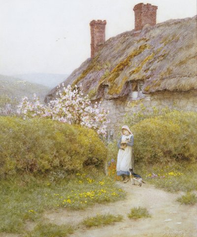 Uma casa de campo Dorsetshire (aguarela sobre papel) de Helen Allingham