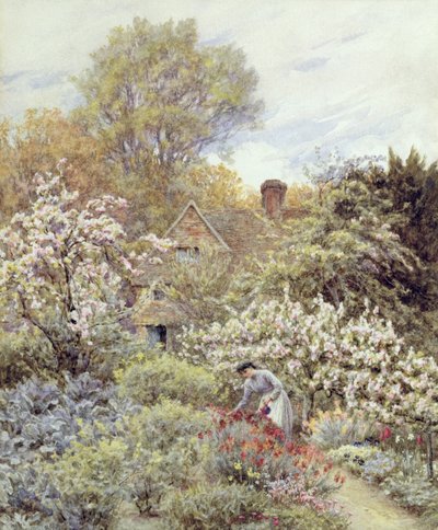 Um jardim na primavera (aquarela sobre papel) de Helen Allingham