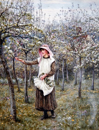 Tempo de floração (aguarela sobre papel) de Helen Allingham
