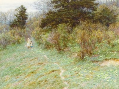 Primroses em um Surrey Heath (wc no papel) de Helen Allingham
