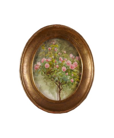 Rose Bush (aguarela sobre papel) de Helen Allingham