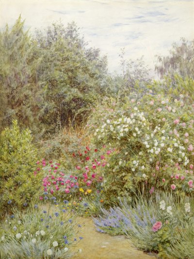 Rosas em Gertrude Jekyll
