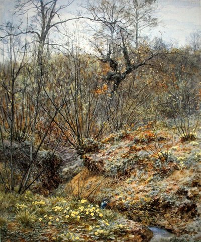 Primavera copa, Witley, Surrey (aguarela sobre papel) de Helen Allingham