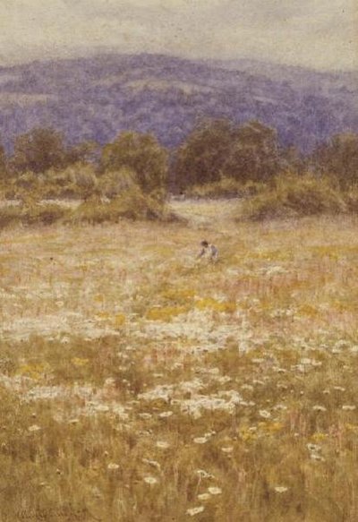 Flores de Verão de Helen Allingham