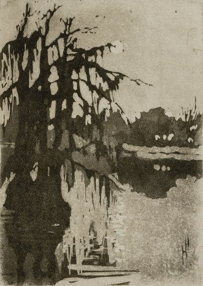 Ciprestes de Helen Hyde