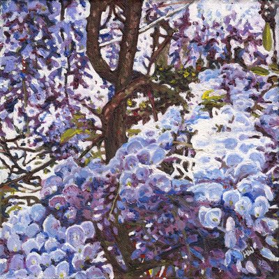 Blue Wisteria, 2012 de Helen White