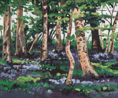Madeira Bluebell, 2009, de Helen White
