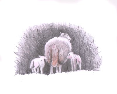 Siga, 2016, (desenho a lápis) de Helen White