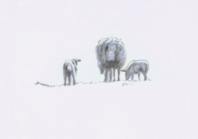 Espíritos Suaves V, 2022 de Helen White