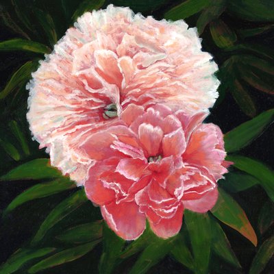 Peónias do Magdalen College, 2023 (óleo sobre tela) de Helen White