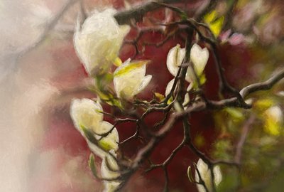 Magnólia, 2018 de Helen White