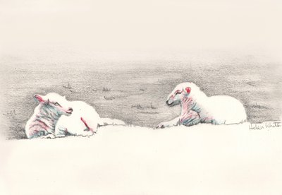 Napping, 2016, (desenho a lápis) de Helen White