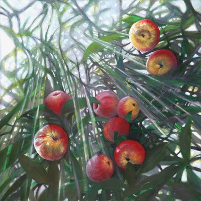 Nova luz no Eden, 2016, de Helen White