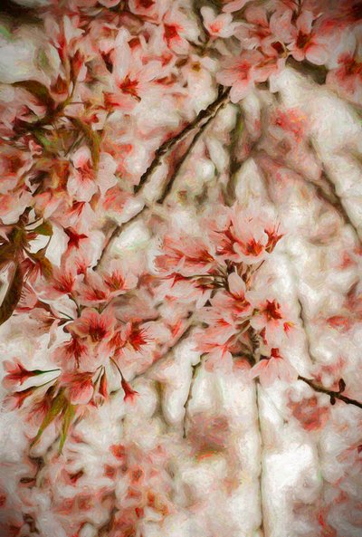 Orientalis, 2020 de Helen White