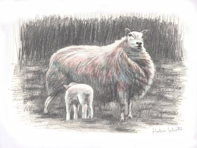 Orgulhoso, 2016, (desenho a lápis) de Helen White