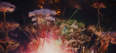 Radiant Hedgerow, 2018, de Helen White