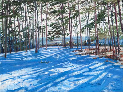 Snowy Ridge, 2009 de Helen White