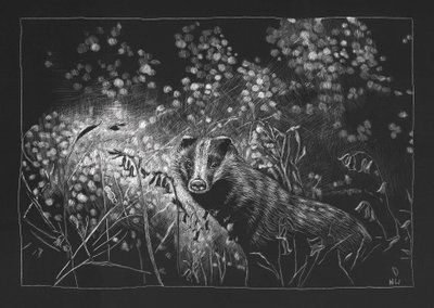 Texugo da Primavera, 2023 de Helen White
