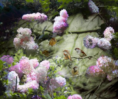 Pardais de Primavera, 2020 de Helen White