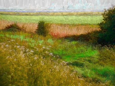 Summer Meadow, 2019 de Helen White