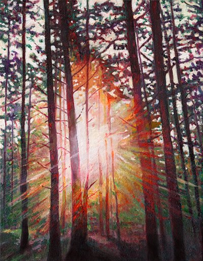 Sunburst, 2010 de Helen White