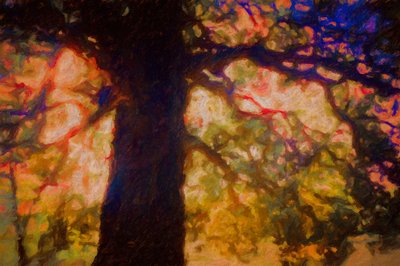 Em Spreading Oak, 2019 de Helen White