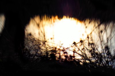 Tapeçaria de água II, 2017, (fotografia manipulada) de Helen White