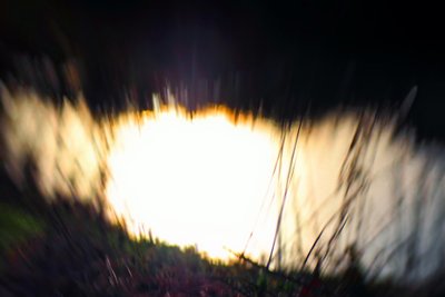 Tapeçaria de água I, 2017, (fotografia manipulada) de Helen White