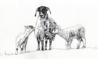Nós Três, 2012 de Helen White