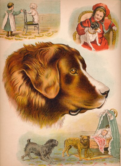 O cão, c1900 de Helena J. Maguire