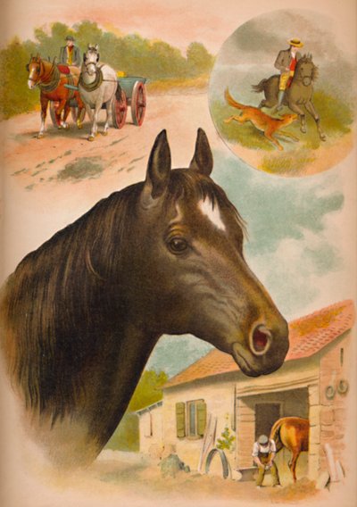 O cavalo, c1900 de Helena J. Maguire