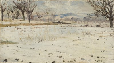 Bona junto ao Reno. Paisagem de inverno de Helmer Osslund