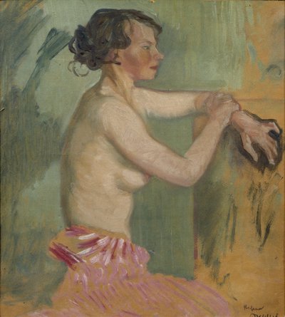 Estudo de um modelo de Helmer Osslund