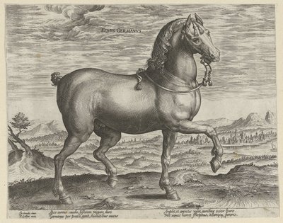 Garanhão da Alemanha Eqvvs Germanvs (título no objeto) Raças de cavalos dos estábulos reais de Don Juan da Áustria (título da série) Equile Ioannis Austriaci Caroli (título da série) de Hendrick Goltzius (possibly)