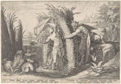 Pan e Syrinx
Metamorfoses por Ovid (título da série) de Hendrick Goltzius (workshop of)