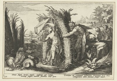 Pan e Syrinx
Metamorfoses de Ovid (título da série) de Hendrick Goltzius (workshop of)