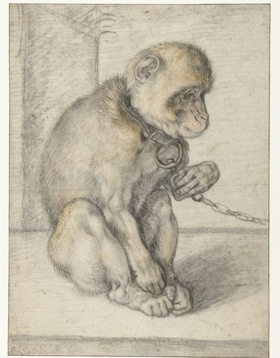 Um macaco sentado numa cadeia
Macaco numa Corrente, sentado de Hendrick Goltzius