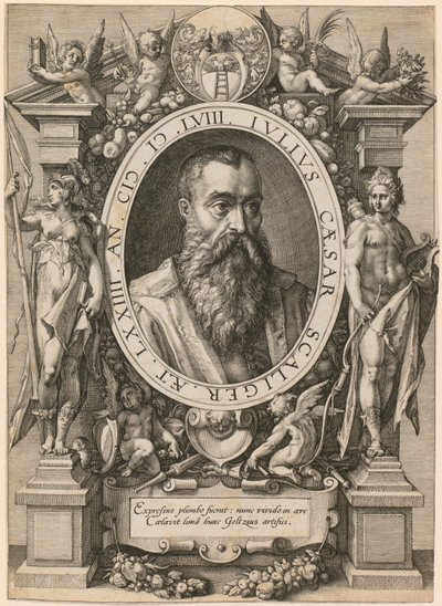 Retrato de Júlio César Scaliger de Hendrick Goltzius